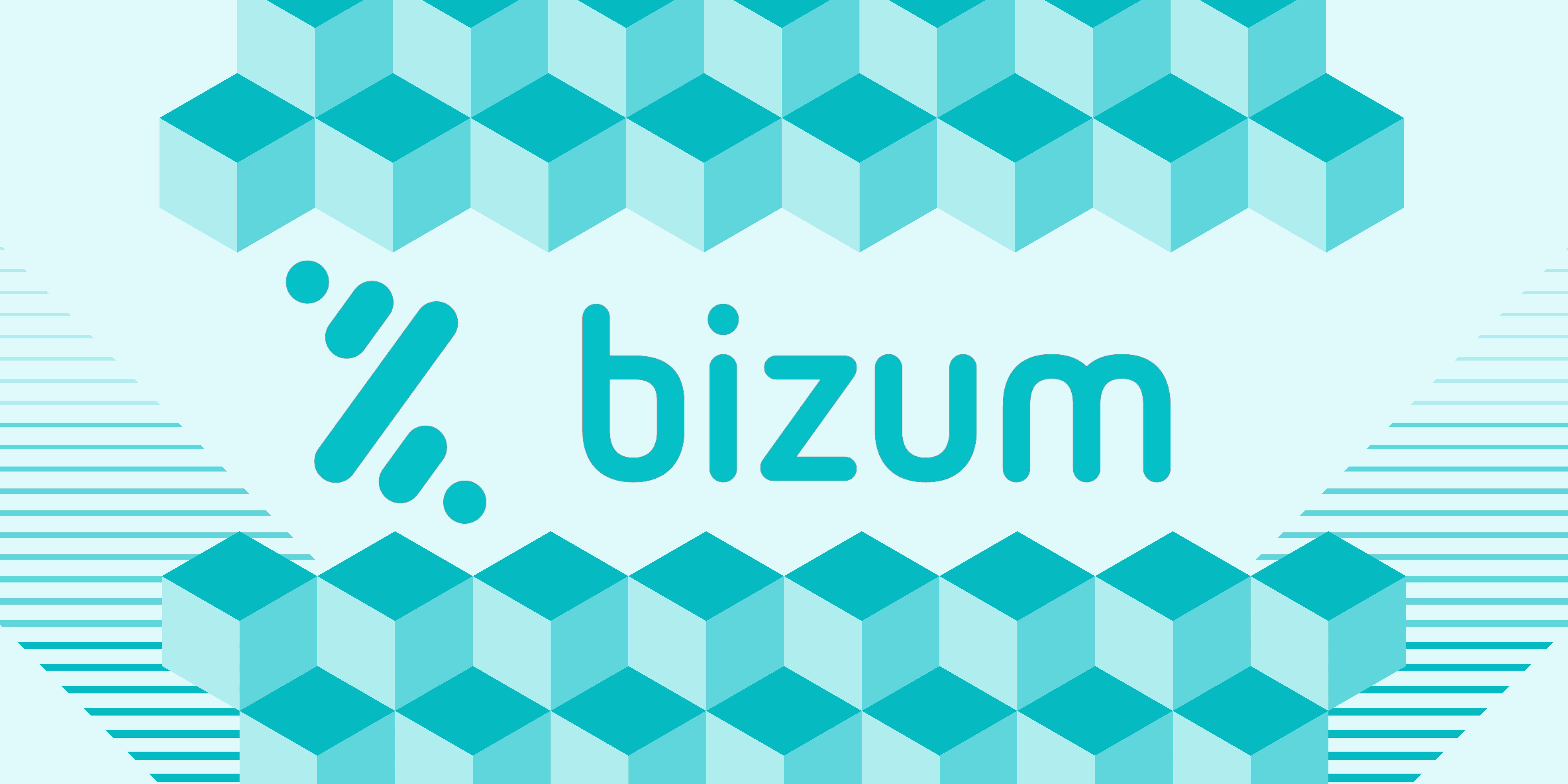 Bizum banner