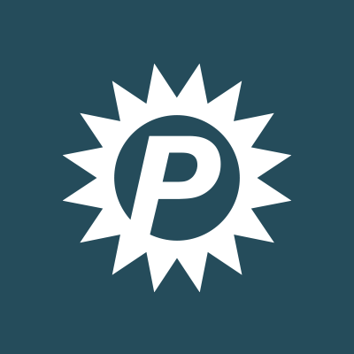 Platin Logo